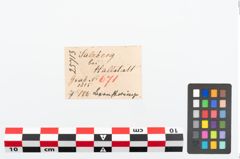 Etikett zu Perlenkette (NHMW-PRAE-025713)